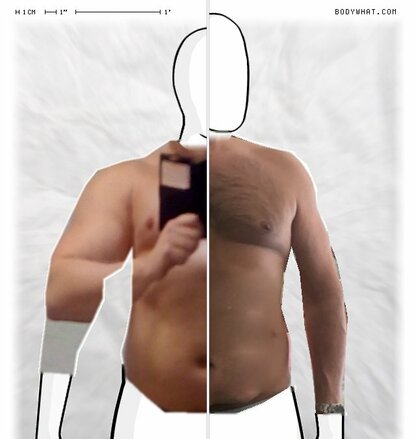 Torso Comparison