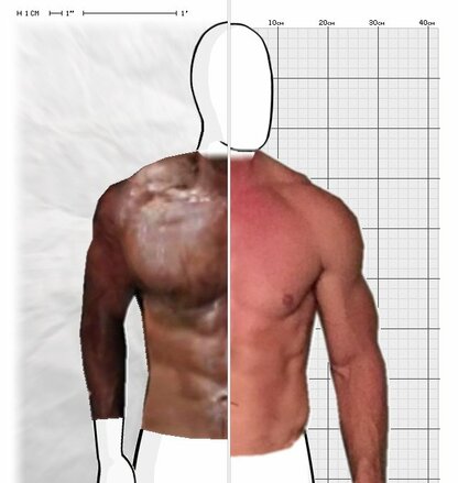 Torso Comparison