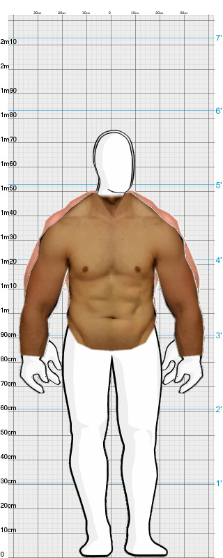 Full Size Comparison