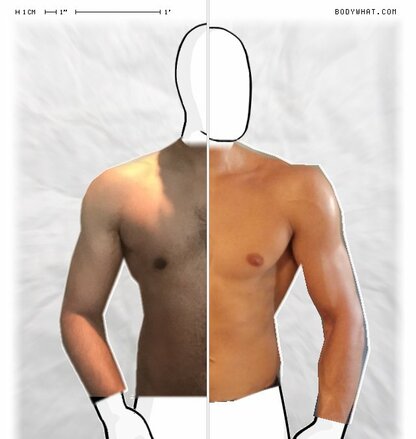 Torso Comparison