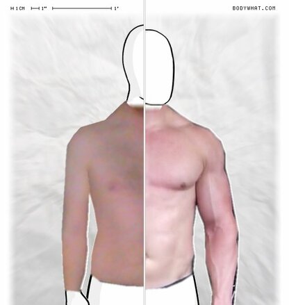 Torso Comparison