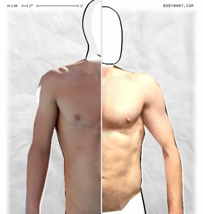Torso Comparison