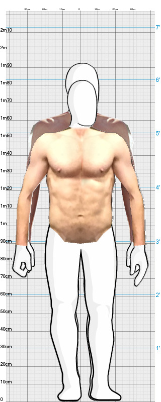 Full Size Comparison