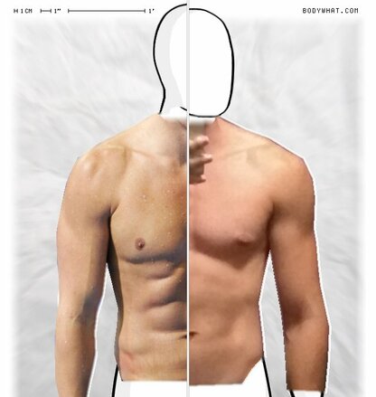 Torso Comparison