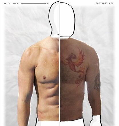 Torso Comparison