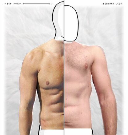 Torso Comparison