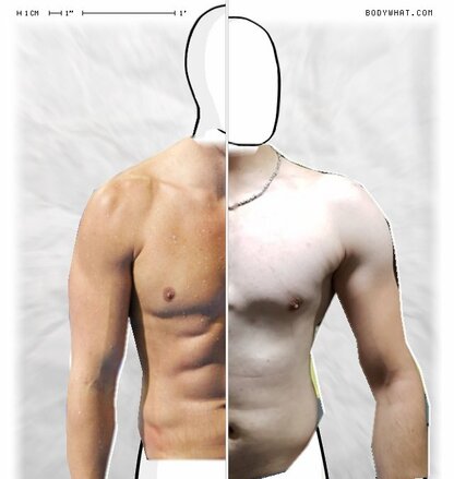 Torso Comparison