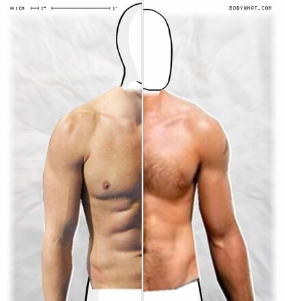 Torso Comparison