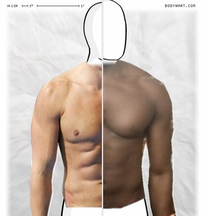 Torso Comparison