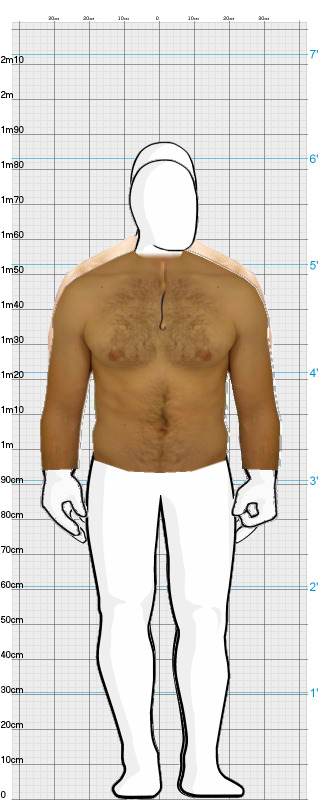 Full Size Comparison