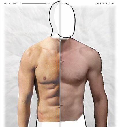 Torso Comparison