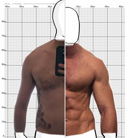 Torso Comparison