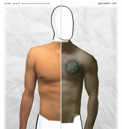 Torso Comparison