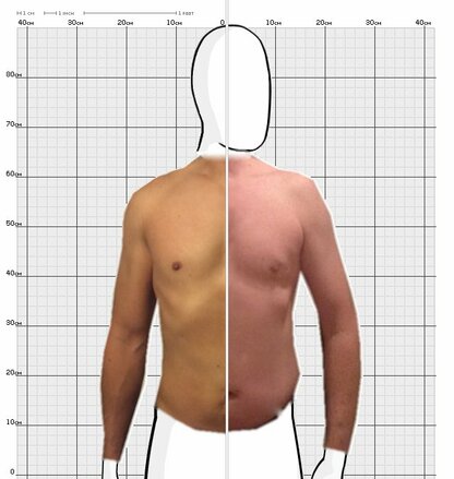 Torso Comparison