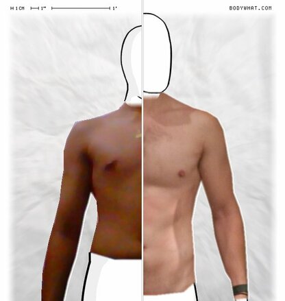 Torso Comparison