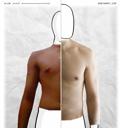 Torso Comparison