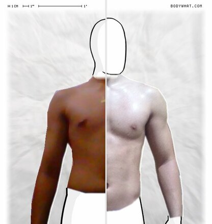 Torso Comparison