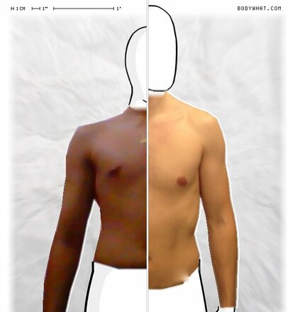 Torso Comparison