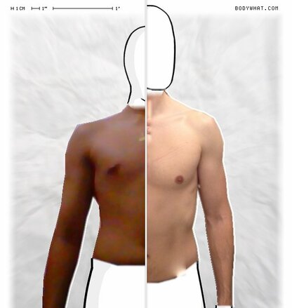 Torso Comparison