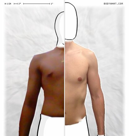 Torso Comparison