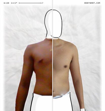 Torso Comparison