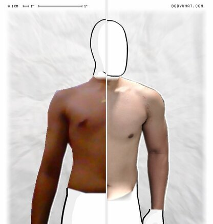 Torso Comparison