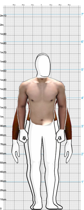 Full Size Comparison