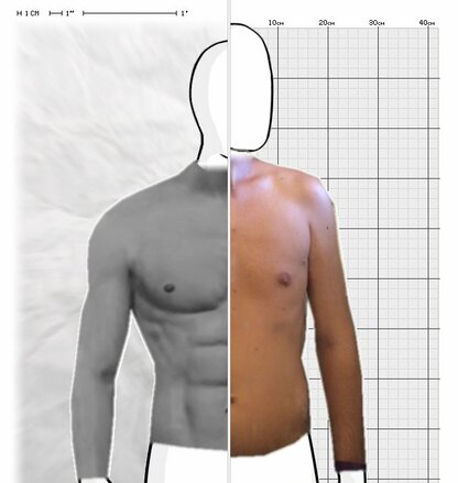 Torso Comparison