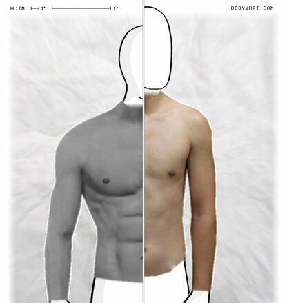 Torso Comparison