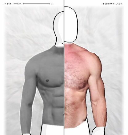 Torso Comparison