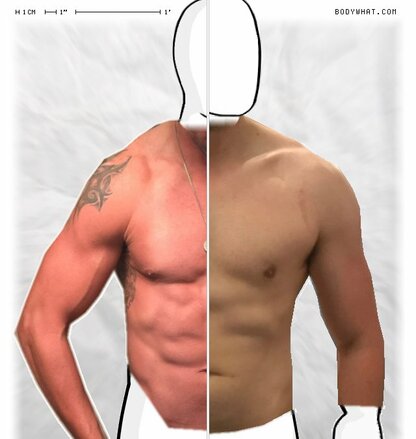 Torso Comparison