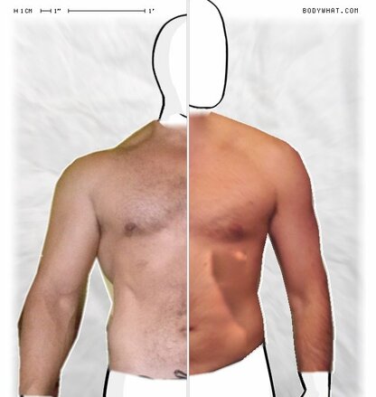 Torso Comparison