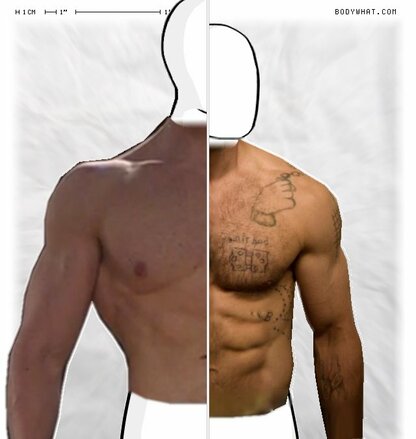 Torso Comparison