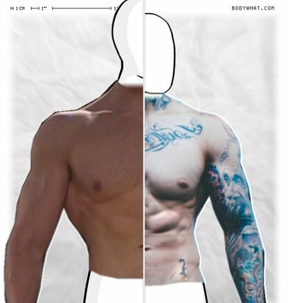 Torso Comparison