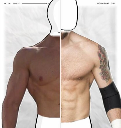 Torso Comparison