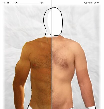 Torso Comparison