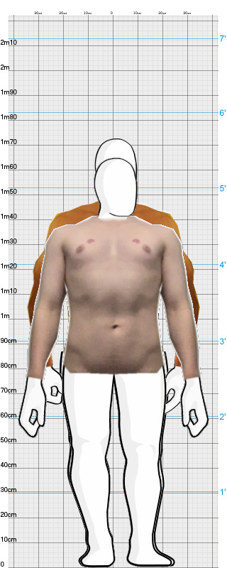 Full Size Comparison