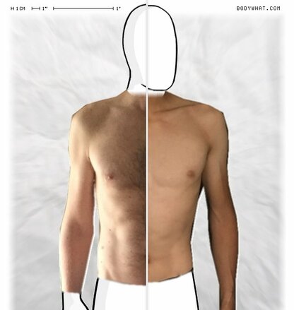 Torso Comparison