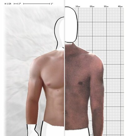 Torso Comparison