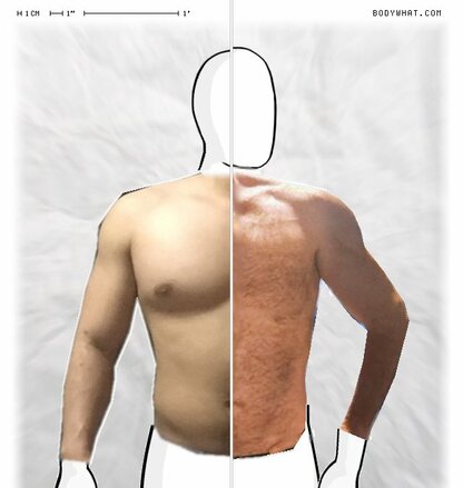 Torso Comparison