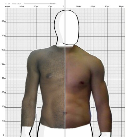 Torso Comparison