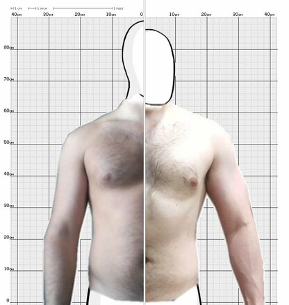 Torso Comparison