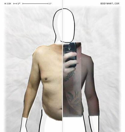 Torso Comparison