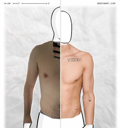 Torso Comparison