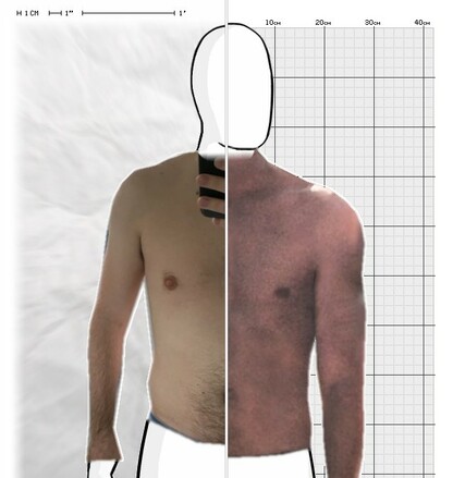 Torso Comparison