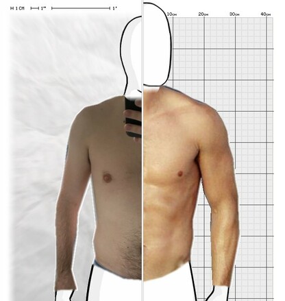 Torso Comparison