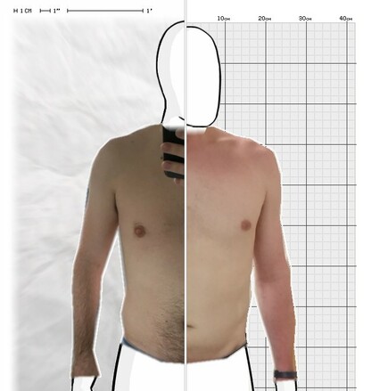 Torso Comparison