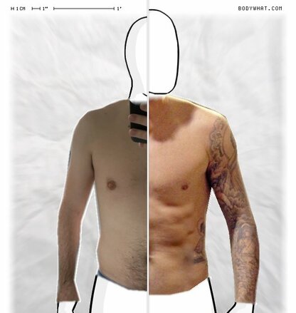 Torso Comparison