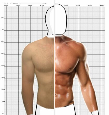 Torso Comparison