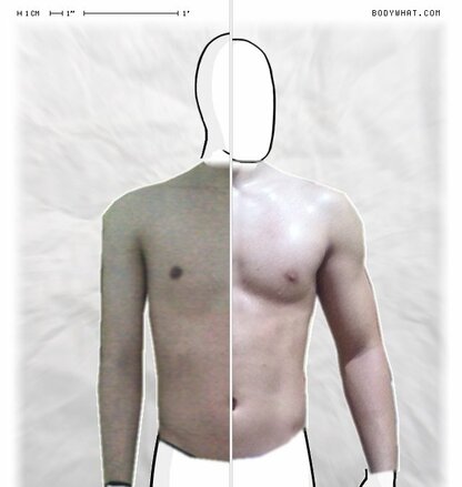 Torso Comparison